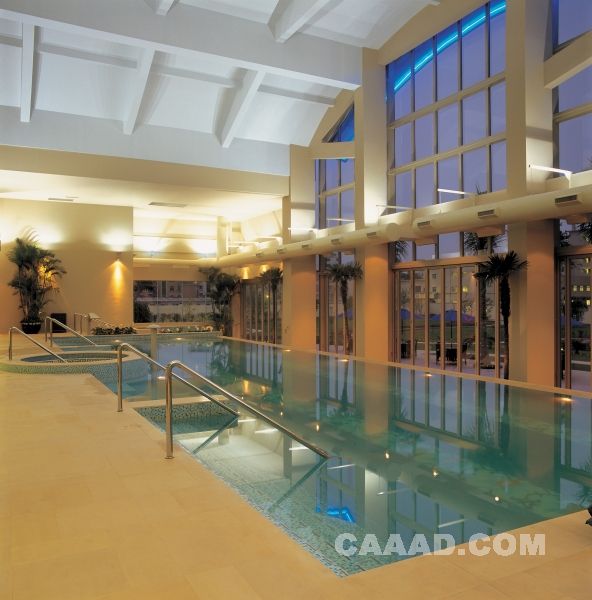 酒店室内游泳池 植物装饰 吊顶装饰 壁灯