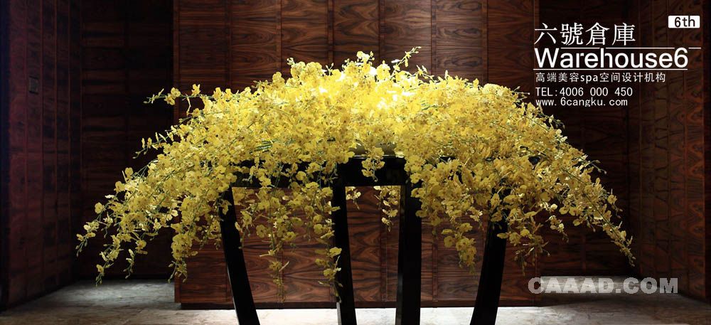 ����ҽ�����ݻ���ҽ��������� 