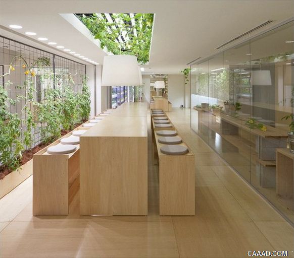 城市里的农场:PASONA集团总部「与自然共生」的办公室(原图尺寸:582x512px) 城市里的农场:PASONA集团总部「与自然共生」的办公室