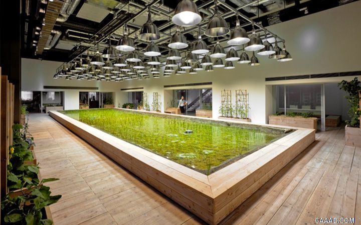 城市里的农场:PASONA集团总部「与自然共生」的办公室(原图尺寸:720x450px) 城市里的农场:PASONA集团总部「与自然共生」的办公室