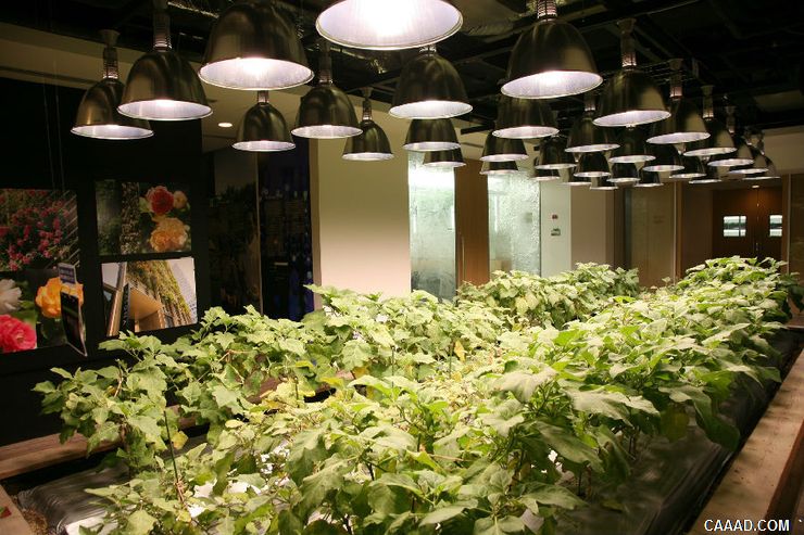 城市里的农场:PASONA集团总部「与自然共生」的办公室(原图尺寸:740x493px) 城市里的农场:PASONA集团总部「与自然共生」的办公室