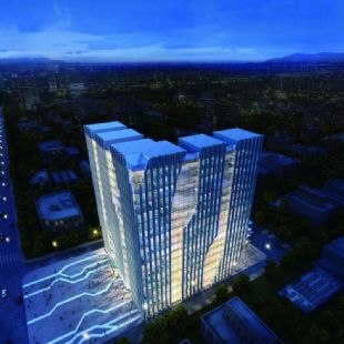 �Ƶ�����